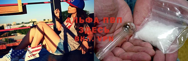 винт Новозыбков