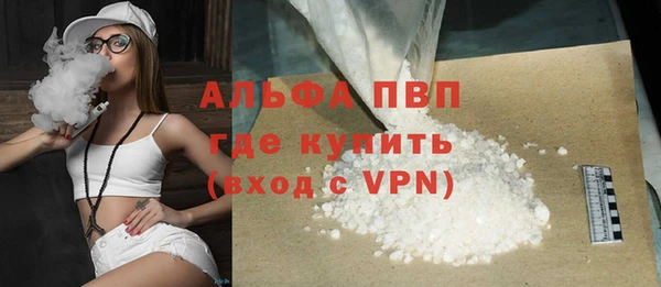 винт Новозыбков