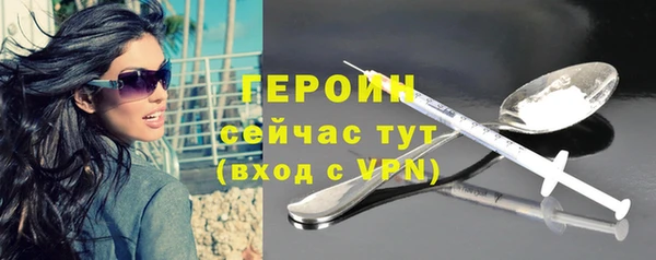 гидра Няндома