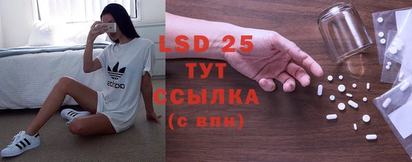 ПСИЛОЦИБИНОВЫЕ ГРИБЫ Новодвинск