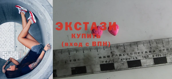 гидра Няндома