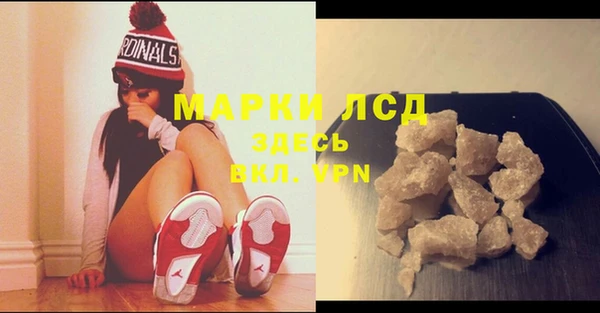 ПСИЛОЦИБИНОВЫЕ ГРИБЫ Новодвинск