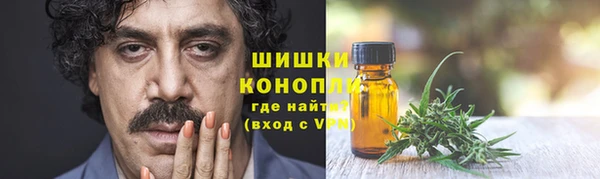 ПСИЛОЦИБИНОВЫЕ ГРИБЫ Новодвинск