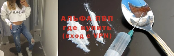 ECSTASY Новокубанск