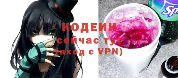 гидра Няндома