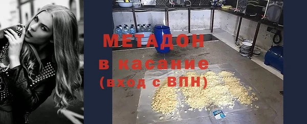гидра Няндома