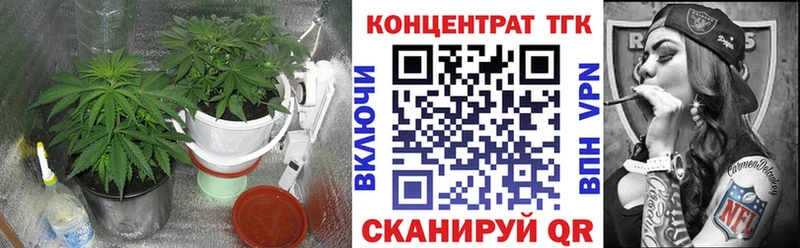 Дистиллят ТГК THC oil  сайты даркнета наркотические препараты  Прохладный 