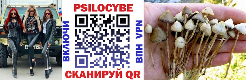Псилоцибиновые грибы мицелий блэк спрут Прохладный
